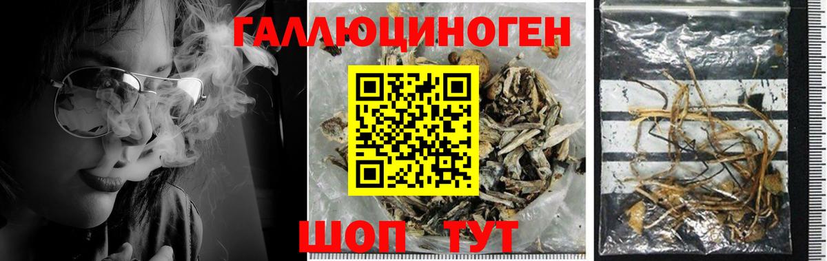 Галлюциногенные грибы ЛСД  Вход с VPN  Псков 